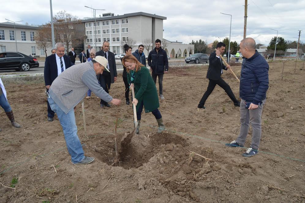 MTÜ Tarım Kampüsüne örnek kayısı bahçesi kuruluyor