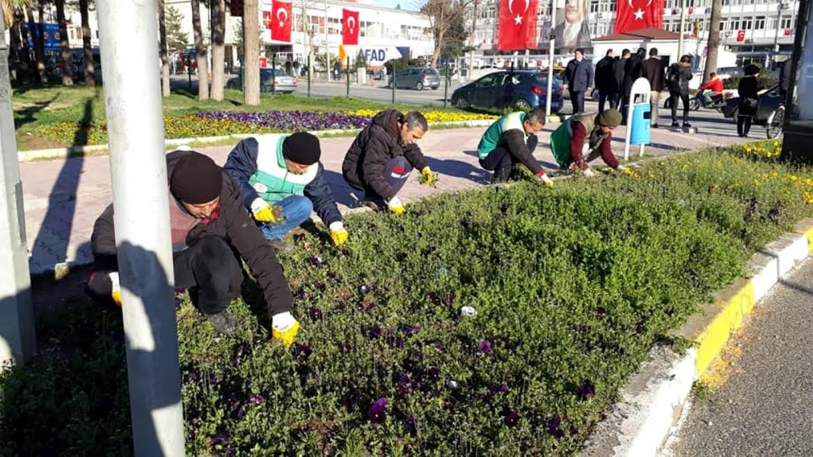 Adıyaman Belediyesi’nden Yeşil Alanlarda Bakım Çalışması