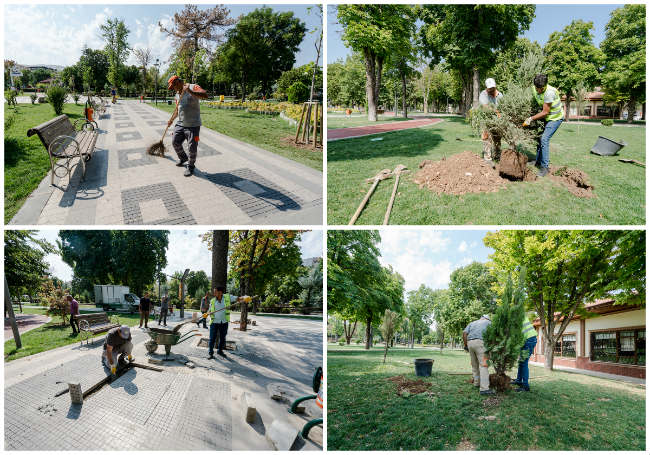 Malatya Büyükşehir Belediyesi tarafından Hürriyet Parkına tüplü fidanların dikimi yapıldı.