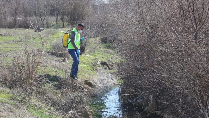 Elazığ belediyesi’nden larva ile mücadele