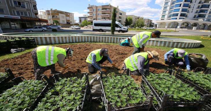 Refüj ve Kavşaklarda Bakım Çalışmaları