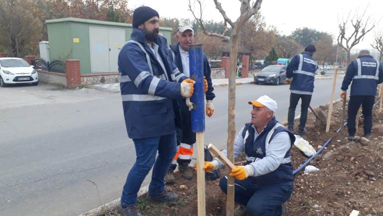 Adıyaman Belediyesi ‘Yeşil Adıyaman’ Çalışmalarına Devam Ediyor