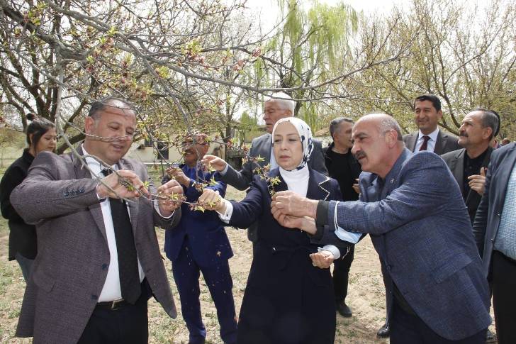 AK Partili Çalık: “15 gün içerisinde ön hasar tespitleri tamamlanacak”