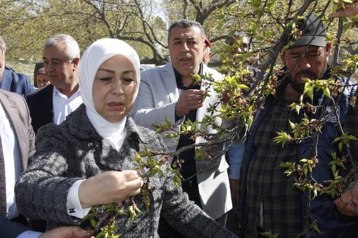 AK Partili Çalık: Malatya’da zirai don nedeniyle hasar tespit çalışmaları başladı