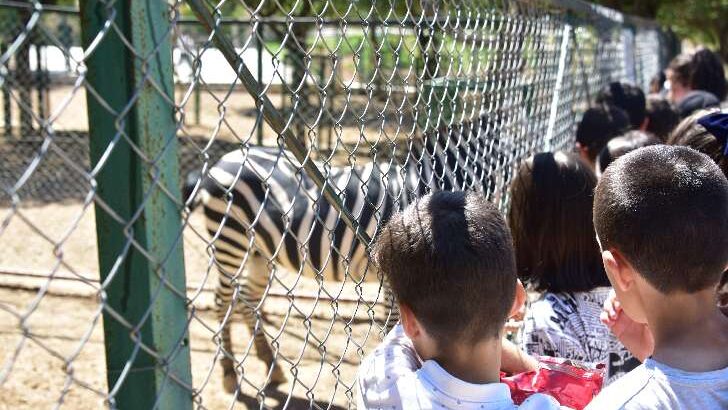 Yaz Okulu Öğrencileri Büyükşehir Belediyesi’ne bağlı hayvanat bahçesini gezdi.