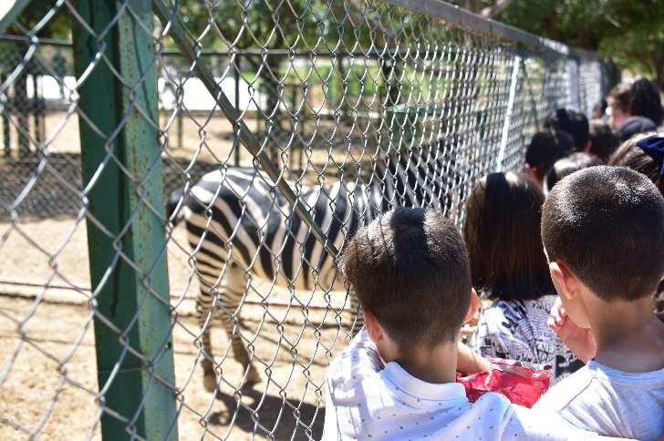 Yaz Okulu Öğrencileri Büyükşehir Belediyesi’ne bağlı hayvanat bahçesini gezdi.