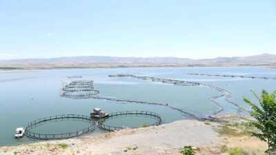 Malatya’da Tarıma Dayalı Su Ürünleri Yetiştiriciliği OSB kuruluyor