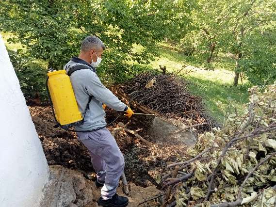 Malatya genelinde haşere ile mücadele çalışmalarına yoğun bir şekilde devam ediliyor.