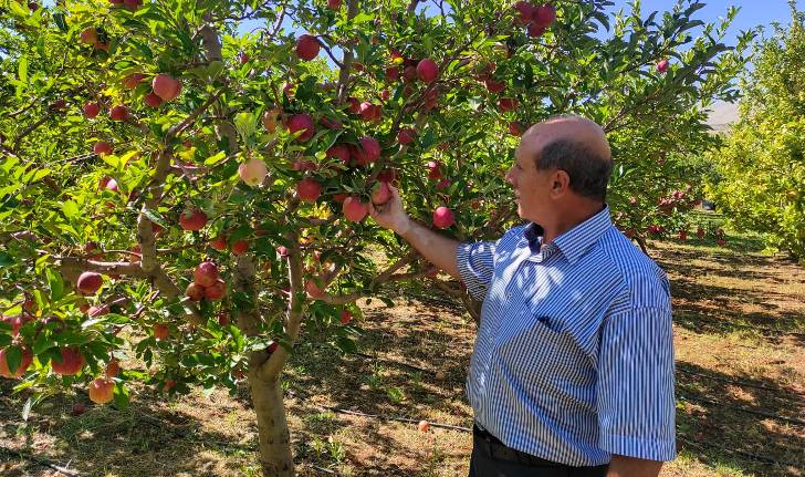 Esenlik’ten Tarladan Sofralarınıza Gelen Lezzetler