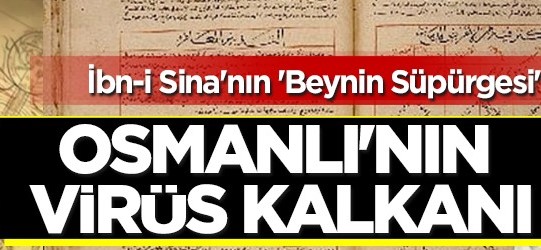 Osmanlı’nın virüs kalkanı: Karabaş otu, İbn-i Sina’nın ‘Beynin Süpürgesi’! Besinlerdeki ileri glikasyona son, yapan kazandı