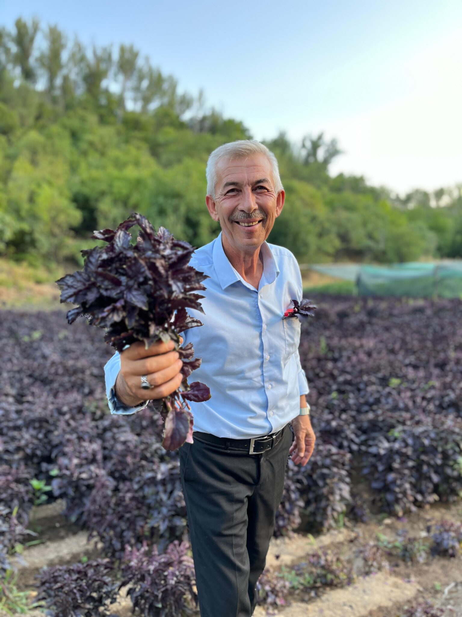 Battalgazi’de Yaz Akşamları Etkinlikleri Coşkuyla Devam Ediyor