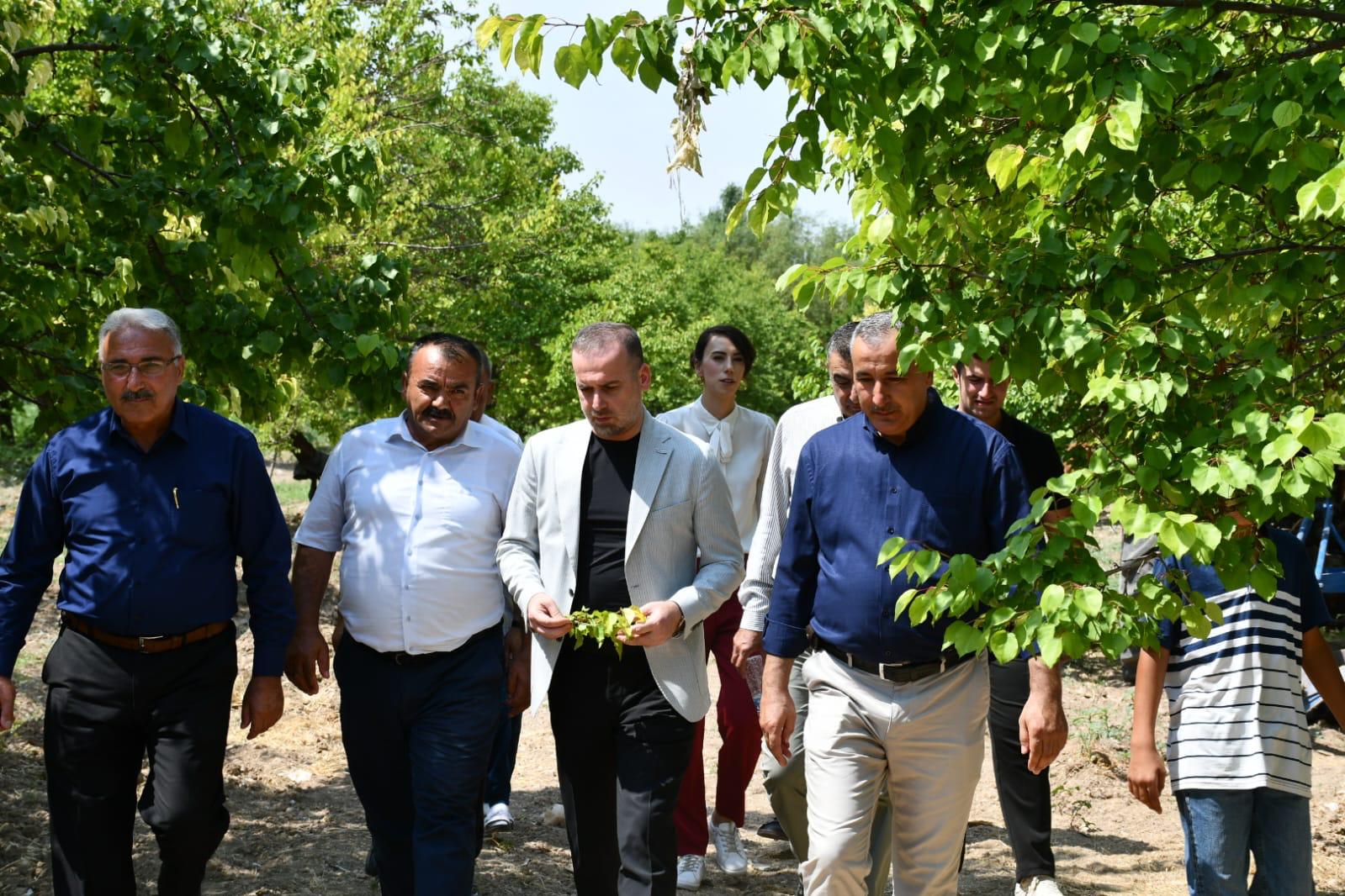 *Karademir’den Kayısı İçin Acil Destek Çağrısı: “Çiftçimizin Elinde Bir şey Kalmadı, Dayanacak Gücü Yok Artık.”*