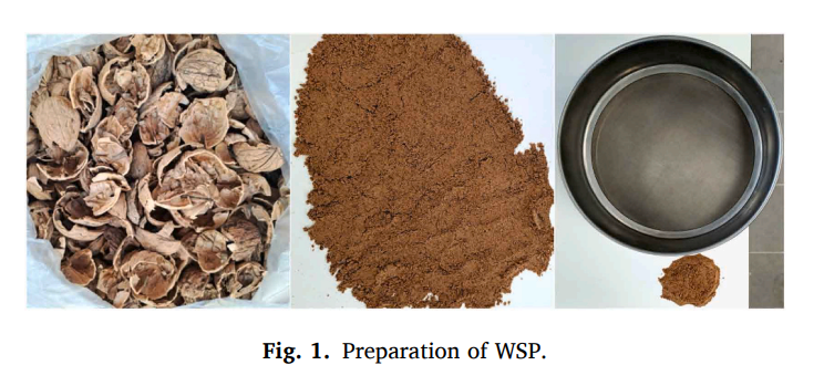 Ceviz Kabuğundan Bilim Doğdu: Malatya Dünyaya Yeşil Yol Açtı