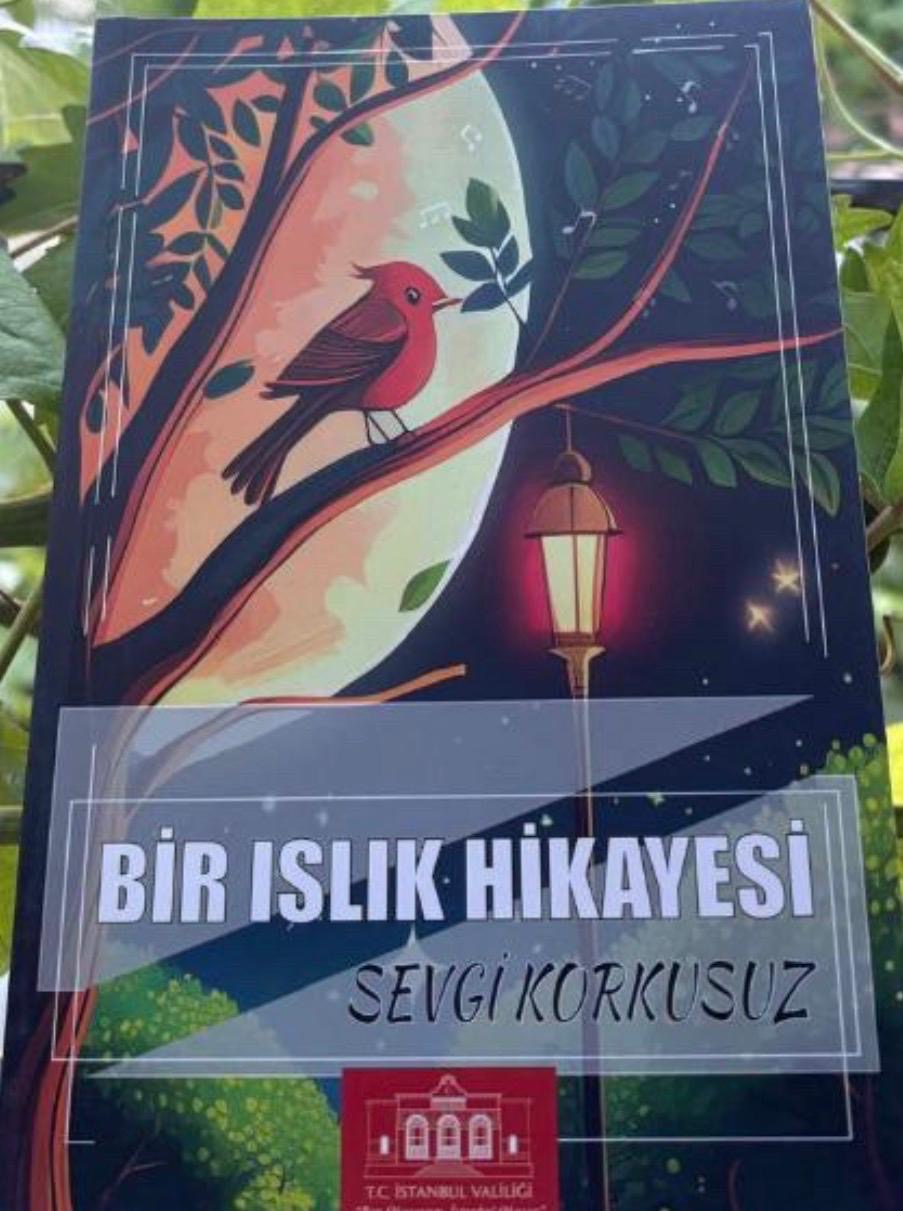 Darende’nin 1980’leri “Bir Islık Hikâyesi”yle Edebiyata Taşındı