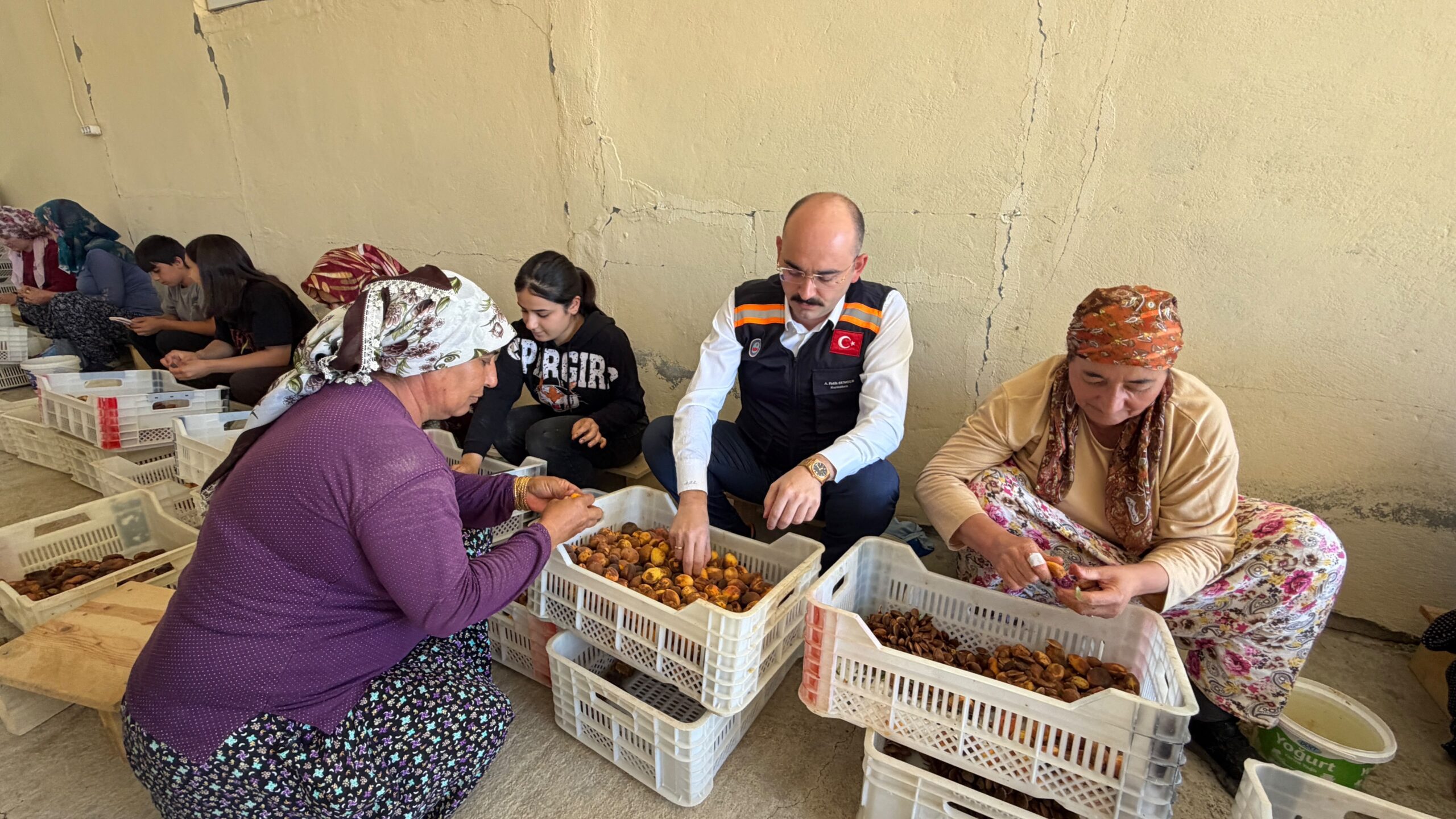 Kaymakam Sungur Kayısı Hasadında Üreticilerle Buluştu